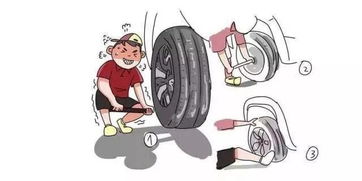 今天小编教你如何成为汽车小达人