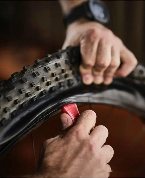 胎匠 传统技艺与现代创新的交融