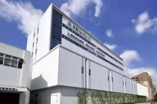 住友橡胶半年营收244亿 轮胎巨头的‘胎匠’精神与市场突破