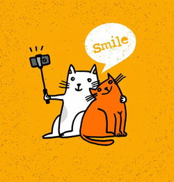 一幅图告诉你，你的异性缘有多强？